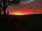 Traumhafte Sonnenuntergänge - Traumhaftes Landhaus in Alleinlage mit Fernblick, Schwimmteich & Saunahaus