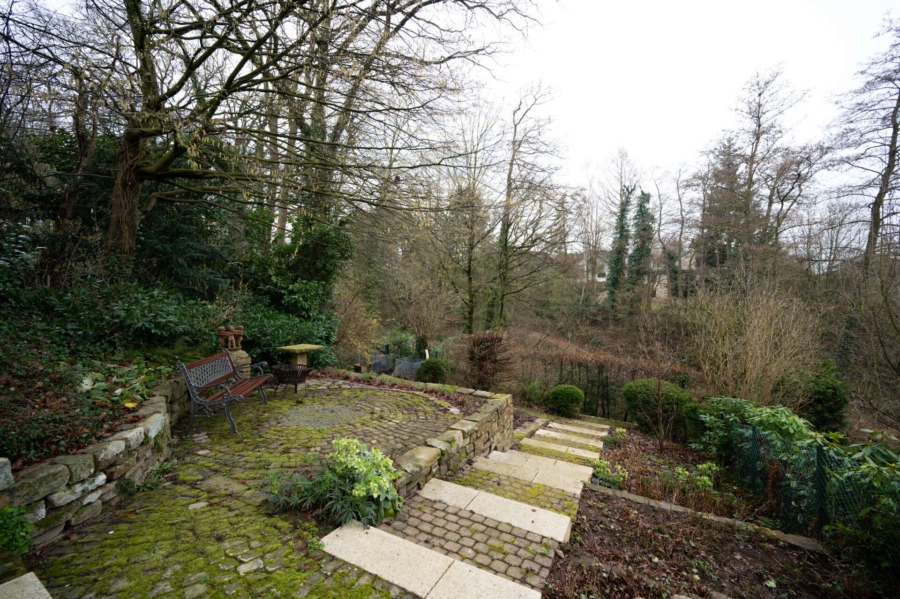 Garten hinterer Teil